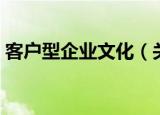 客户型企业文化（关于客户型企业文化介绍）