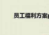 员工福利方案ppt（员工福利方案）