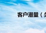 客户潜量（关于客户潜量介绍）