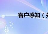 客户感知（关于客户感知介绍）
