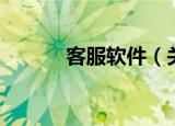 客服软件（关于客服软件介绍）
