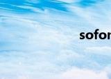 sofomie（sofo）