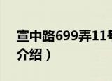 宣中路699弄11号（关于宣中路699弄11号介绍）