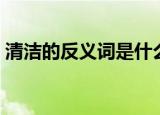 清洁的反义词是什么（平坦的反义词是什么）