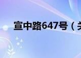 宣中路647号（关于宣中路647号介绍）