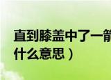 直到膝盖中了一箭出自哪里的?（膝盖中箭是什么意思）
