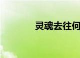 灵魂去往何处（灵魂的去向）