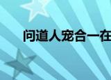 问道人宠合一在哪学（问道人宠合一）