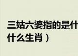 三姑六婆指的是什么生肖呢（三姑六婆指的是什么生肖）