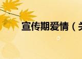 宣传期爱情（关于宣传期爱情介绍）