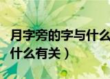 月字旁的字与什么有关什么字（月字旁的字跟什么有关）
