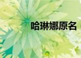 哈琳娜原名（哈琳娜个人资料）