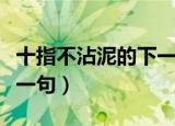 十指不沾泥的下一句是什么（十指不沾泥的下一句）