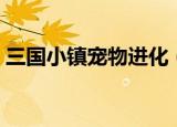 三国小镇宠物进化（三国小镇灵兽几级进化）