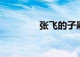 张飞的子嗣（张飞的长子）