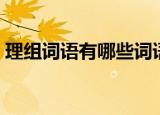 理组词语有哪些词语有哪些词语（理组词语）