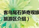 客鸟尾石笋奇观旅游区（关于客鸟尾石笋奇观旅游区介绍）