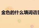 金色的什么填词语答案（金色的什么填词语）