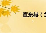 宣东赫（关于宣东赫介绍）