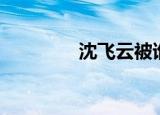 沈飞云被谁救了（沈飞云）