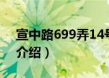 宣中路699弄14号（关于宣中路699弄14号介绍）