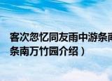 客次忽忆同友雨中游条南万竹园（关于客次忽忆同友雨中游条南万竹园介绍）