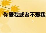 你爱我或者不爱我爱就在那里不增不减歌词