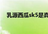 乳源西瓜sk5是真的吗2021（乳源西瓜）