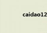 caidao123（zhaosf123）