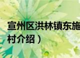 宣州区洪林镇东施村（关于宣州区洪林镇东施村介绍）