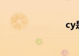 cy是什么梗？