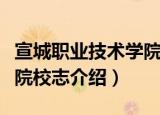 宣城职业技术学院校志（关于宣城职业技术学院校志介绍）