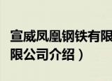 宣威凤凰钢铁有限公司（关于宣威凤凰钢铁有限公司介绍）