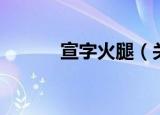 宣字火腿（关于宣字火腿介绍）