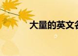 大量的英文名词（大量的英文）