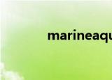 marineaquarium3下载安卓
