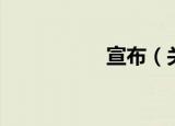 宣布（关于宣布介绍）