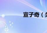宣子奇（关于宣子奇介绍）