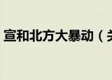 宣和北方大暴动（关于宣和北方大暴动介绍）