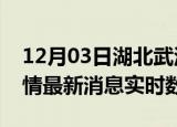 12月03日湖北武汉疫情最新通报表及武汉疫情最新消息实时数据