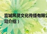 宣城凤灵文化传播有限公司（关于宣城凤灵文化传播有限公司介绍）