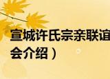 宣城许氏宗亲联谊会（关于宣城许氏宗亲联谊会介绍）