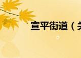 宣平街道（关于宣平街道介绍）
