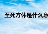 至死方休是什么意思（至死方休什么意思）