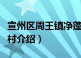 宣州区周王镇净蓬村（关于宣州区周王镇净蓬村介绍）