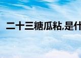 二十三糖瓜粘,是什么意思（二十三糖瓜粘）