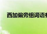 西加偏旁组词语有哪些（西加偏旁组词）