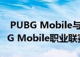  PUBG Mobile与Airtel合作在南亚举办PUBG Mobile职业联赛