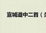 宣城道中二首（关于宣城道中二首介绍）