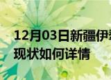 12月03日新疆伊犁今日疫情通报及伊犁疫情现状如何详情